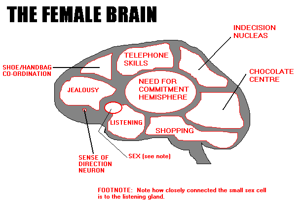 Get into the female Brain