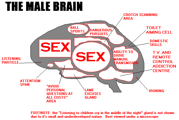 Get into the male Brain