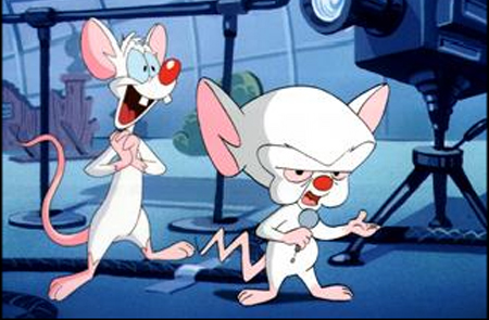 Follow Pinky & the Brain to more R & R
